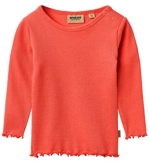 Wheat Bluse - Rib - Ida - Watermelon