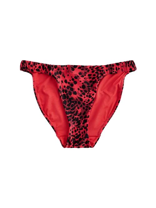 Next Bikinitrusse  rød / burgunder / sort