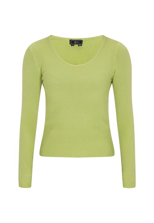 faina Pullover 'Fashion Look'  æble