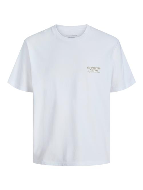 JACK & JONES Bluser & t-shirts 'JORHydra'  himmelblå / brun / umbra / hvid