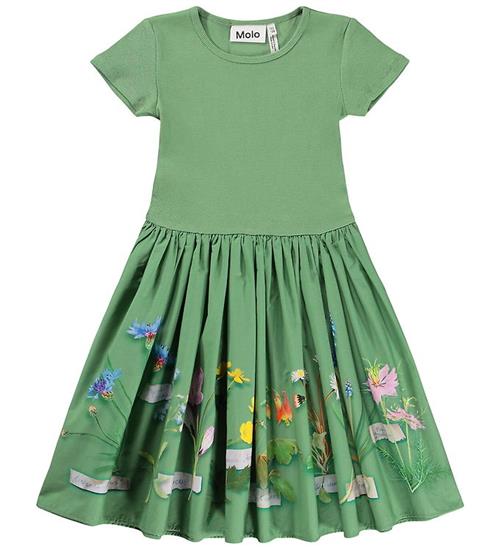 Molo Kjole - Cissa - Flora Collector