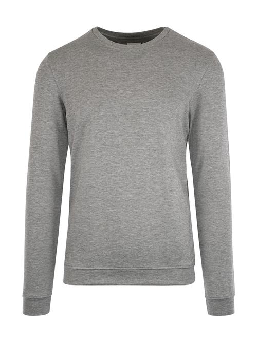 JBS OF DENMARK Sweatshirt  grå