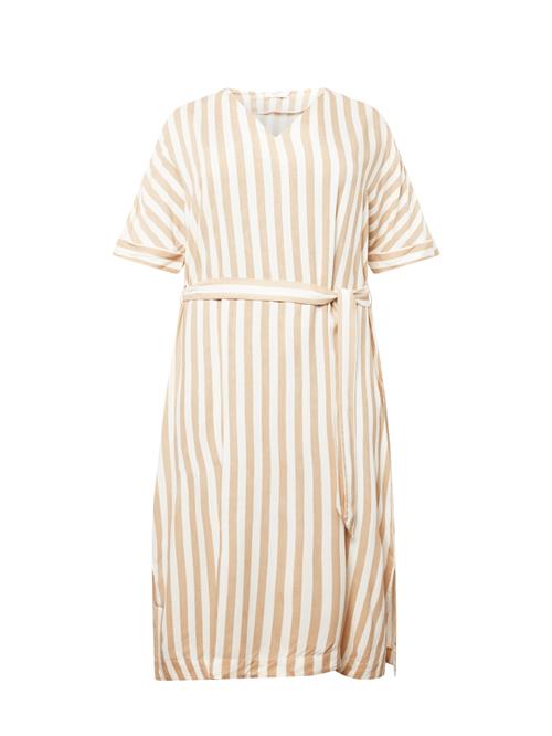 ABOUT YOU Curvy Kjole 'Sofia'  creme / lysebrun