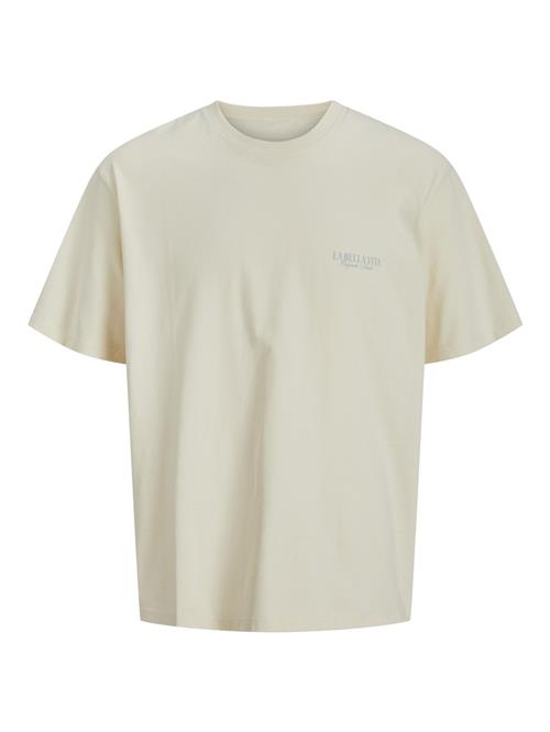 JACK & JONES Bluser & t-shirts 'JORhydra'  blå / grå / uldhvid