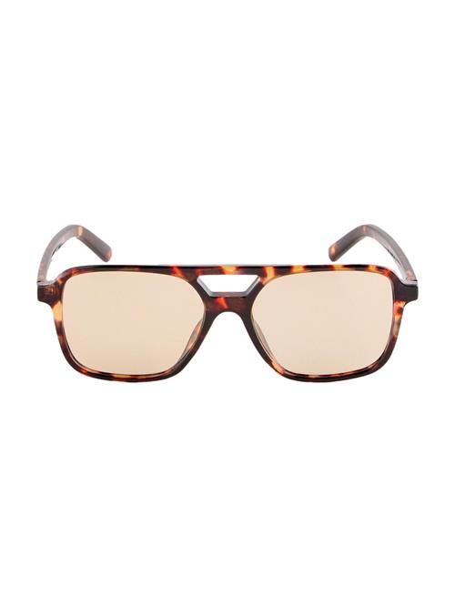 Next Solbriller  brun / cognac