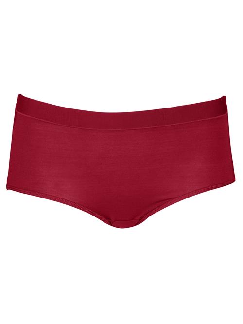 SugarShape Panty  bordeaux
