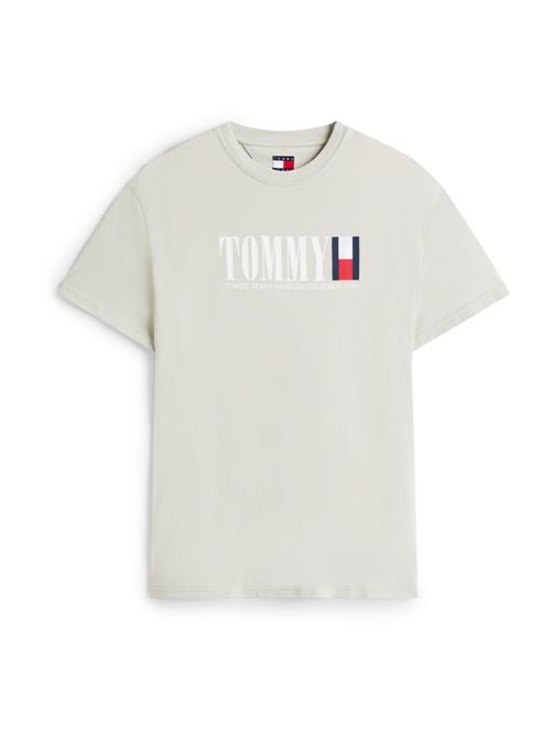 Tommy Jeans Bluser & t-shirts  navy / pastelgrøn / rød / hvid