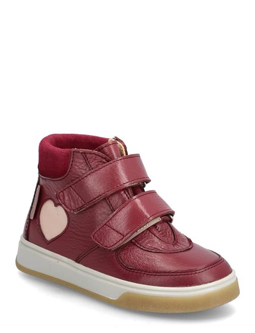 ANGULUS | Shoes - Flat - With Velcro | 31