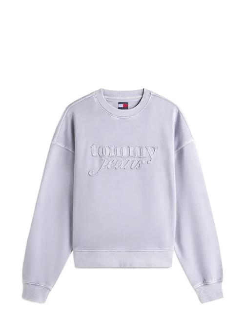 Tommy Jeans | Tjw Bxy Gmd Script Crew | L