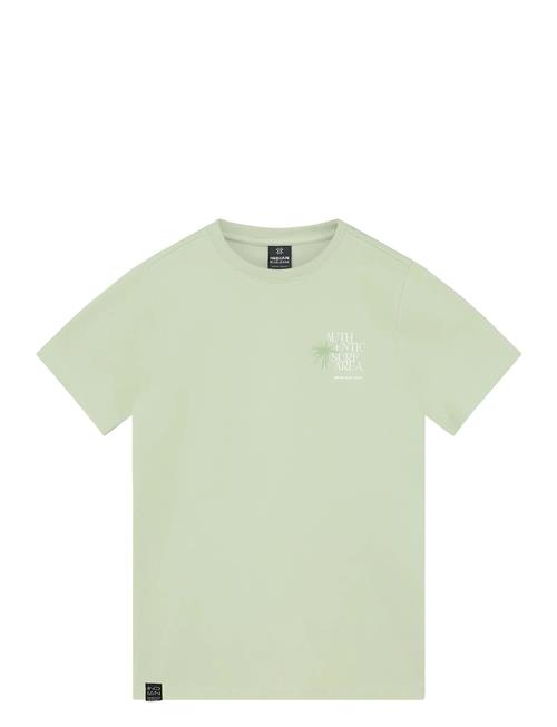 Indian Blue Jeans | T-Shirt Chest And Backprint | 164