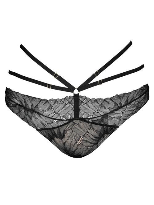 SugarShape String 'FemFatale'  sort