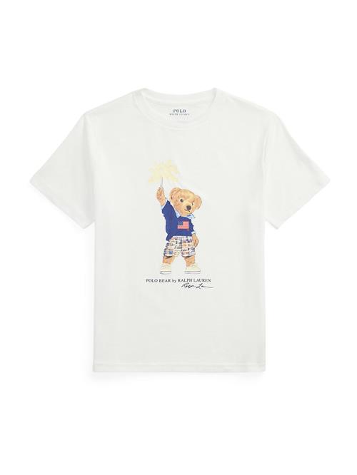 Polo Ralph Lauren Shirts  marin / brun / gul / hvid