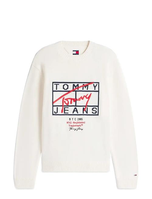 Tommy Jeans | Tjm Reg Signature Sweater Ext | L