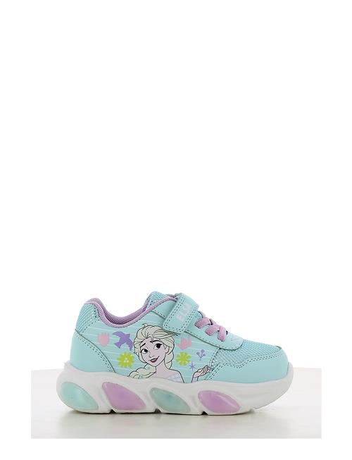 Leomil | Frozen Sneakers | 26