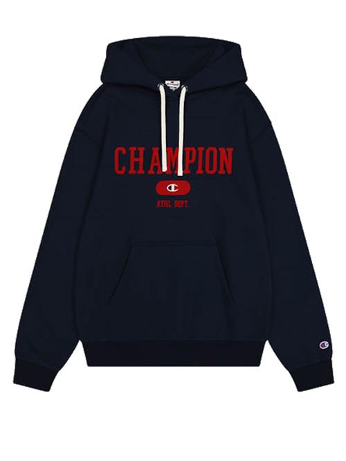 Champion Authentic Athletic Apparel Pullover  blå