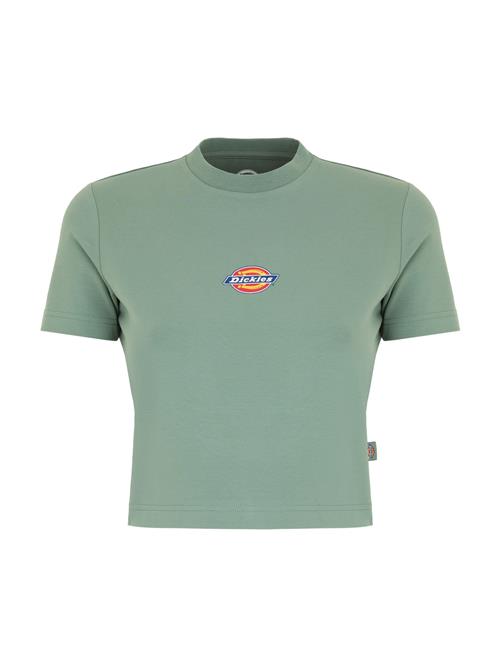 DICKIES Shirts 'Maple Valley'  gul / grøn / rød