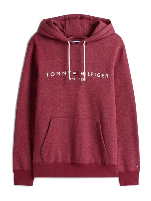 TOMMY HILFIGER Sweatshirt  rødmeleret / hvid