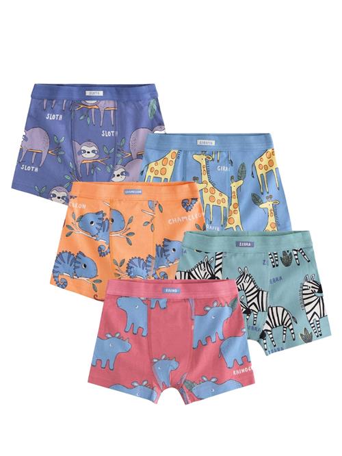 Next Underbukser  safir / lyseblå / lysegrøn / orange