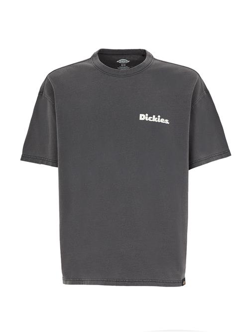 DICKIES Bluser & t-shirts 'Slayden'  mørkegrå / hvid