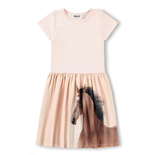 Molo GOTS Cissa Kjole Wild Pony  Wild Pony 134/140 cm  Lyserød  134/140 cm  kvinde