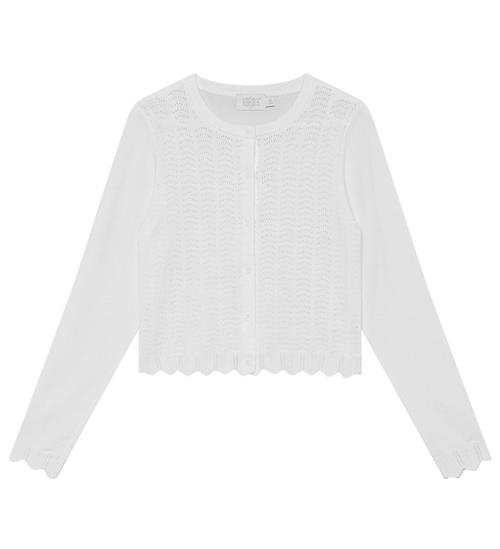 Creamie Cardigan - Pointelle - Cloud