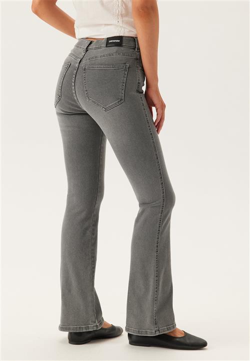 Dr. Denim Lexy Bootcut
