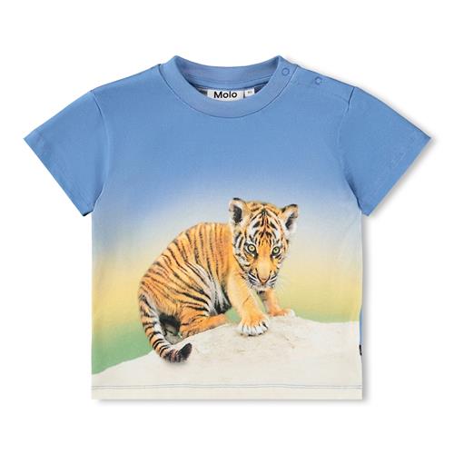 Molo GOTS Enzo T-shirt Tiger Cub  Tiger Cub 92 cm  Blå  92 cm  mand