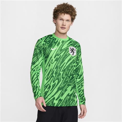 Holland 2024/25 Stadium Goalkeeper Nike Dri-FIT Replica-fodboldtrøje til mænd (kvindehold) - grøn