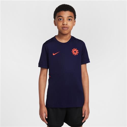 Kortærmet Erling Haaland Academy Dri-FIT-fodboldtrøje til større børn - blå