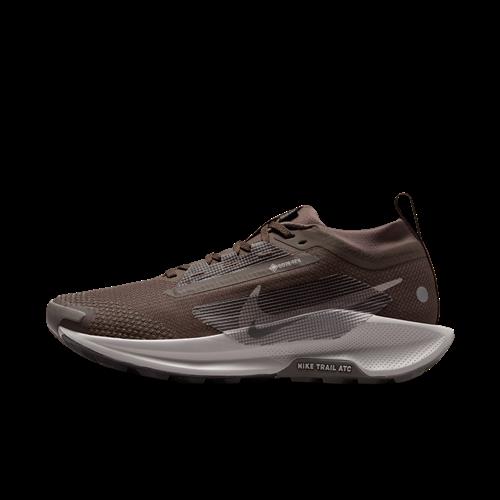 Vandtætte Nike Pegasus Trail 5 GORE-TEX-trailløbesko til kvinder - brun