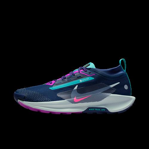 Vandtætte Nike Pegasus Trail 5 GORE-TEX-trailløbesko til mænd - blå