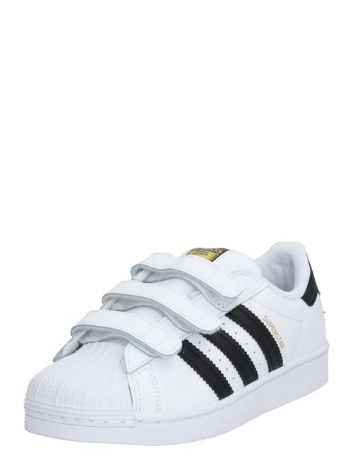 ADIDAS ORIGINALS Sneakers 'Superstar'  gul / sort / hvid