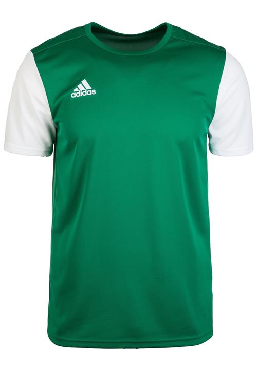 ADIDAS SPORTSWEAR Fodboldtrøje 'Estro 19'  grøn / hvid