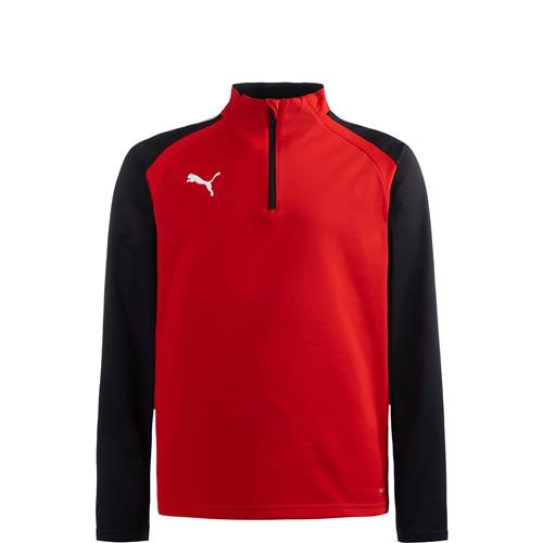 PUMA Sportsweatshirt 'TeamLiga 14'  rød / sort