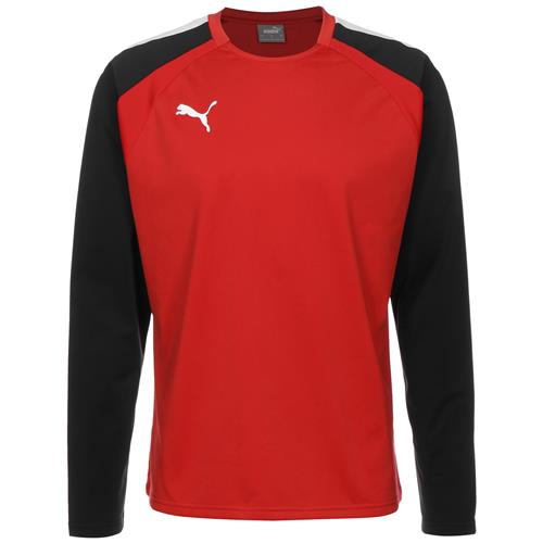 PUMA Funktionsskjorte 'Team Liga'  rød / sort