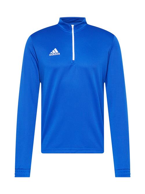 ADIDAS PERFORMANCE Sportsweatshirt 'Entrada 22'  blå / hvid
