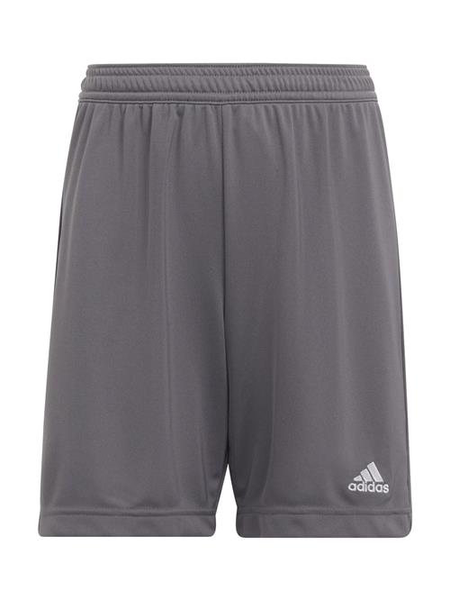 ADIDAS PERFORMANCE Sportsbukser 'Entrada 22'  mørkegrå / hvid