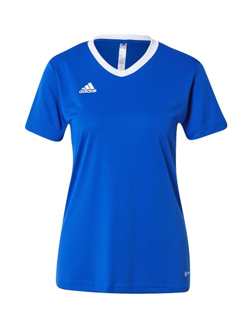 ADIDAS PERFORMANCE Fodboldtrøje 'Entrada 22'  blå / hvid