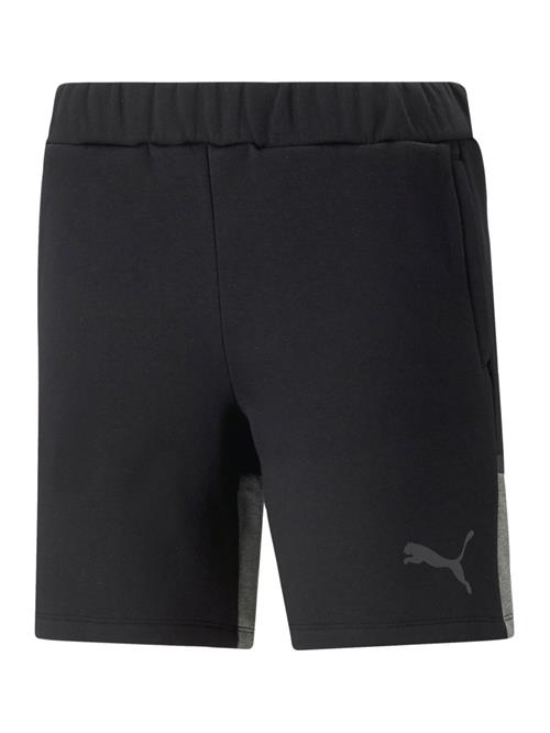 PUMA Sportsbukser 'Team Cup'  mørkegrå / sort