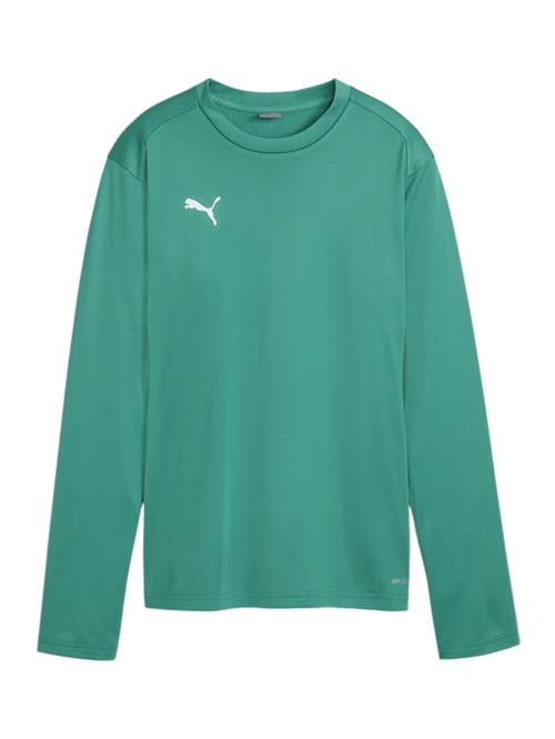 PUMA Sportsweatshirt  grøn / sølv / hvid