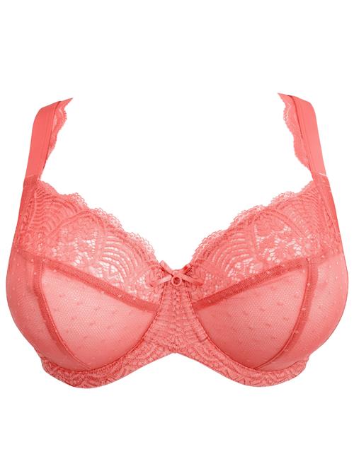 SugarShape BH 'Clara Lace'  koral