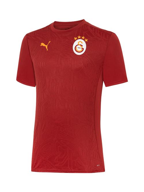 PUMA Fodboldtrøje 'Galatasaray Istanbul'  orange / rød / hvid