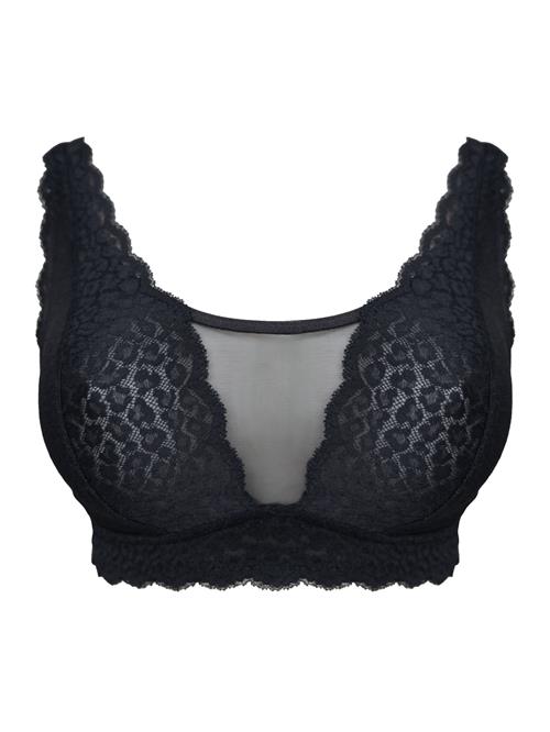 SugarShape BH 'Elva'  sort