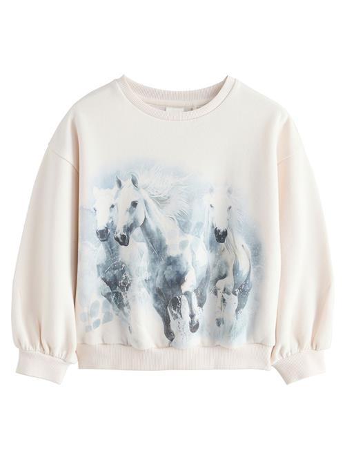 Next Sweatshirt  ecru / basalgrå / greige