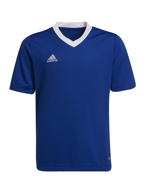 ADIDAS PERFORMANCE Funktionsskjorte 'Entrada 22'  royalblå / hvid