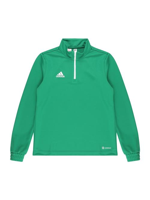 ADIDAS PERFORMANCE Sportsweatshirt 'Entrada 22'  grøn / hvid