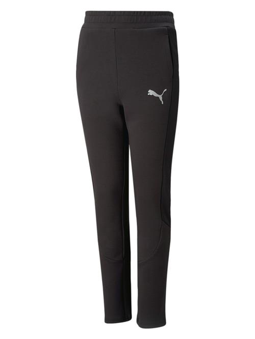 PUMA Sportsbukser  grå / sort