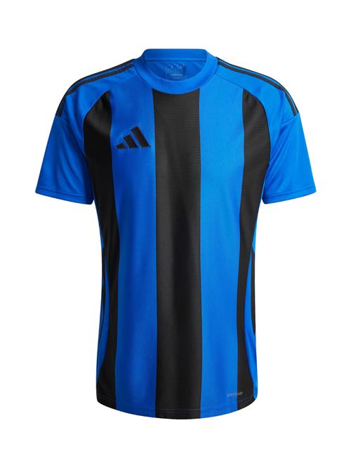 ADIDAS PERFORMANCE Fodboldtrøje  blå / sort