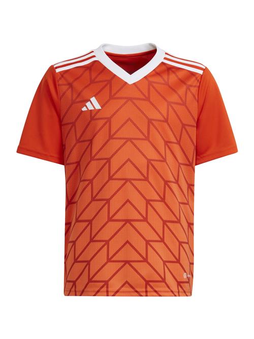 ADIDAS PERFORMANCE Funktionsskjorte  orange / hvid