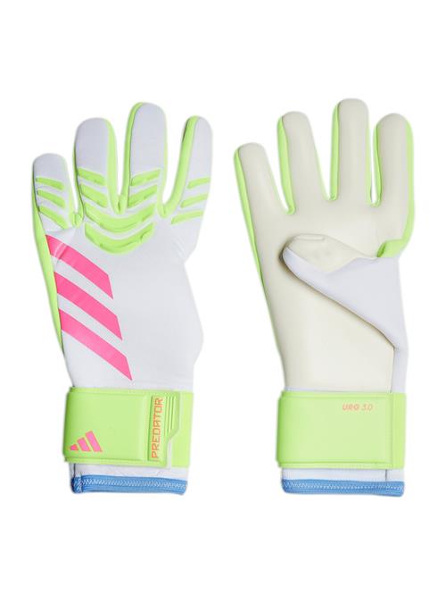 ADIDAS PERFORMANCE Sportshandsker 'Predator League'  royalblå / lime / pink / hvid